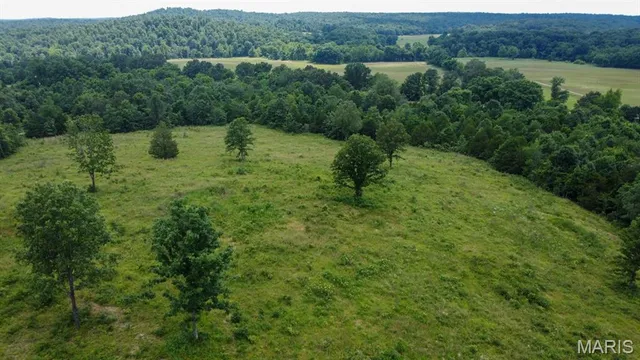 $425,000 | 970 Ripley 142 W-1, Doniphan, MO 63935