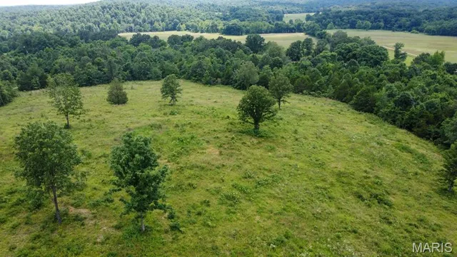 $425,000 | 970 Ripley 142 W-1, Doniphan, MO 63935