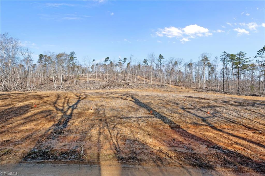 0 Eagles Field Road Troy, NC 27371 - Photo 11 of 14 Winter - homes site mostly cleared