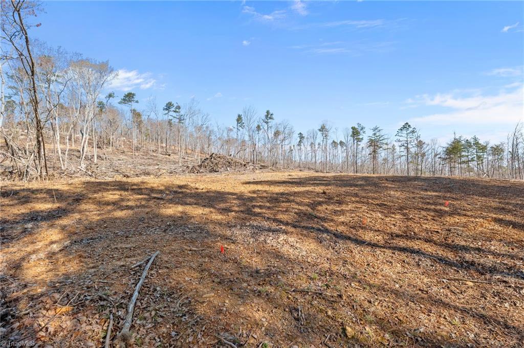 0 Eagles Field Road Troy, NC 27371 - Photo 12 of 14 Winter - home site mostly cleared
