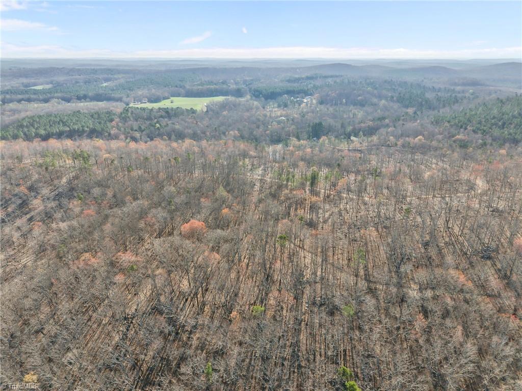 0 Eagles Field Road Troy, NC 27371 - Photo 10 of 10