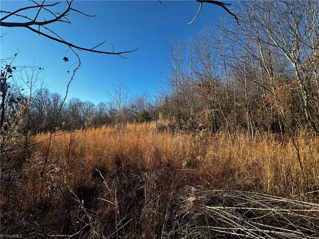 $135,000 | 16 South Wilkesboro Nc 28697, Wilkesboro, NC 28697