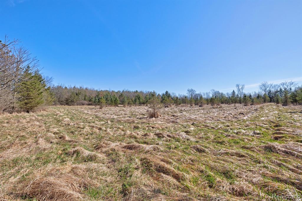 11899 Burt Road Memphis, MI 48041 - Photo 46 of 61