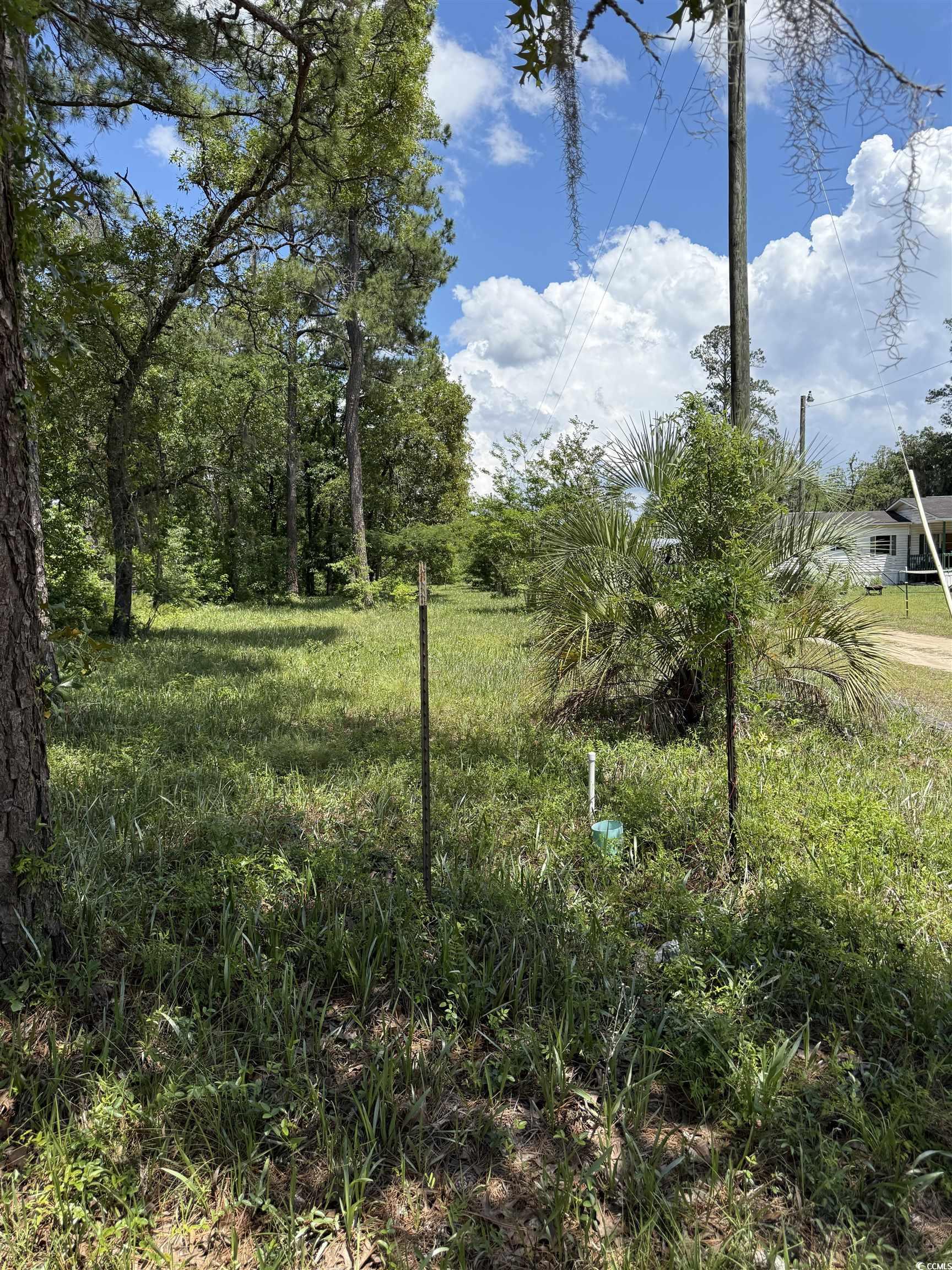 Tbd Hampton Road Conway, SC 29527 - Photo 2 of 8