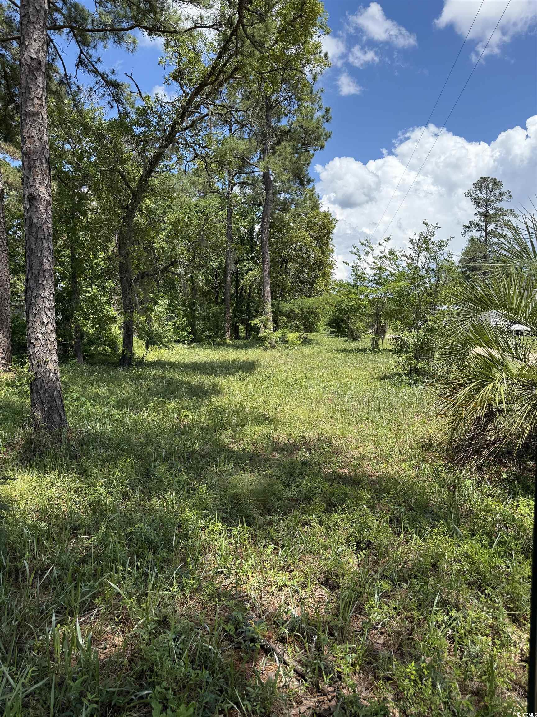 Tbd Hampton Road Conway, SC 29527 - Photo 3 of 8