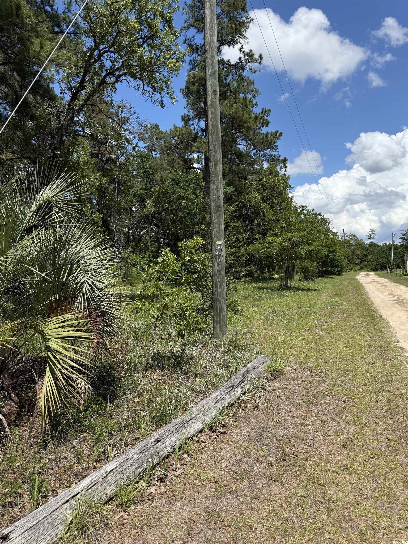 Tbd Hampton Road Conway, SC 29527 - Photo 4 of 8