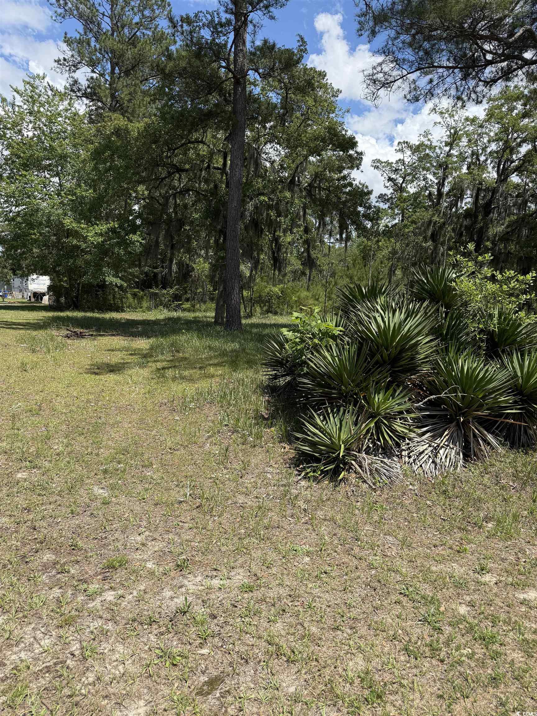 Tbd Hampton Road Conway, SC 29527 - Photo 5 of 8