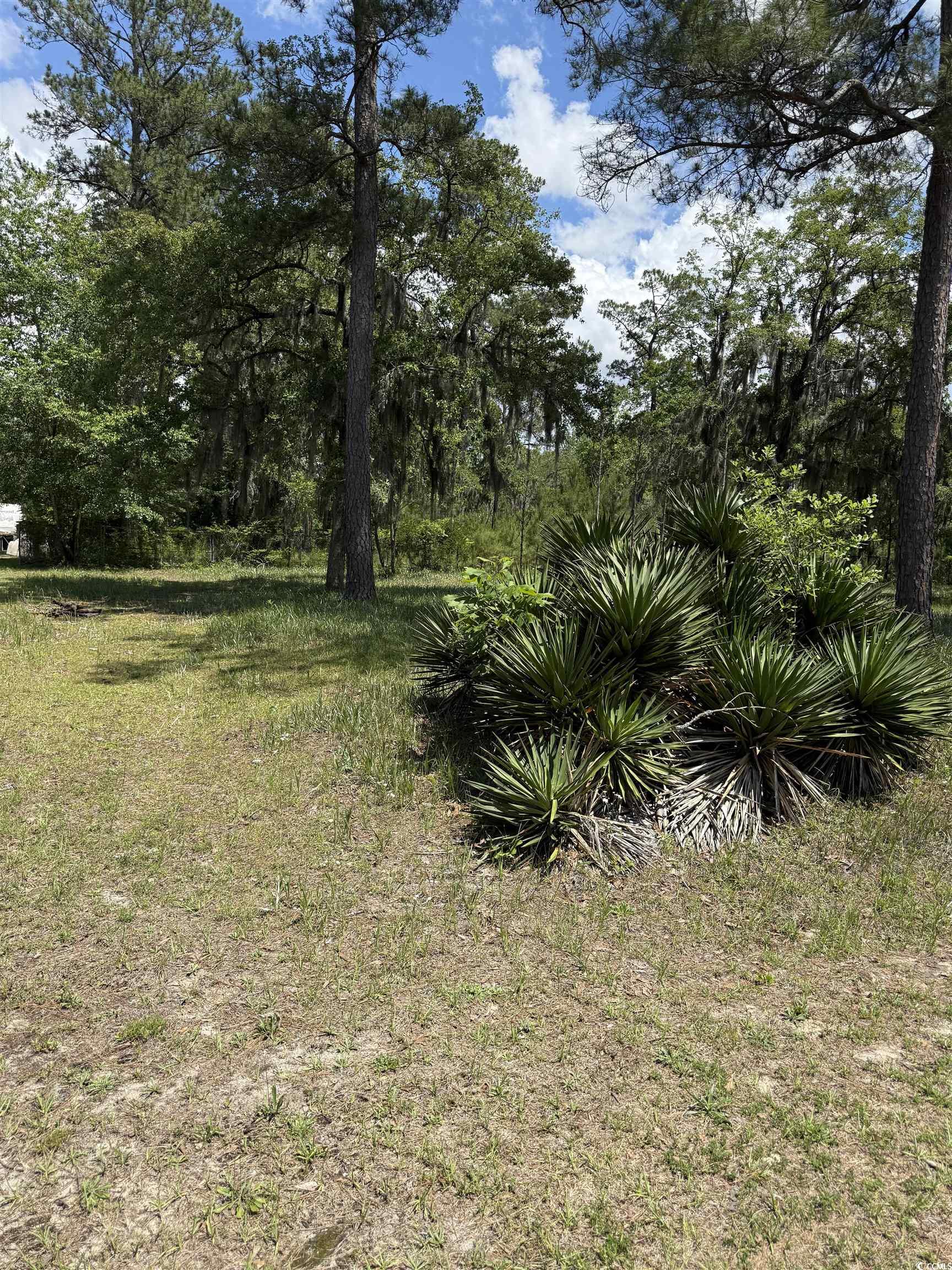 Tbd Hampton Road Conway, SC 29527 - Photo 6 of 8