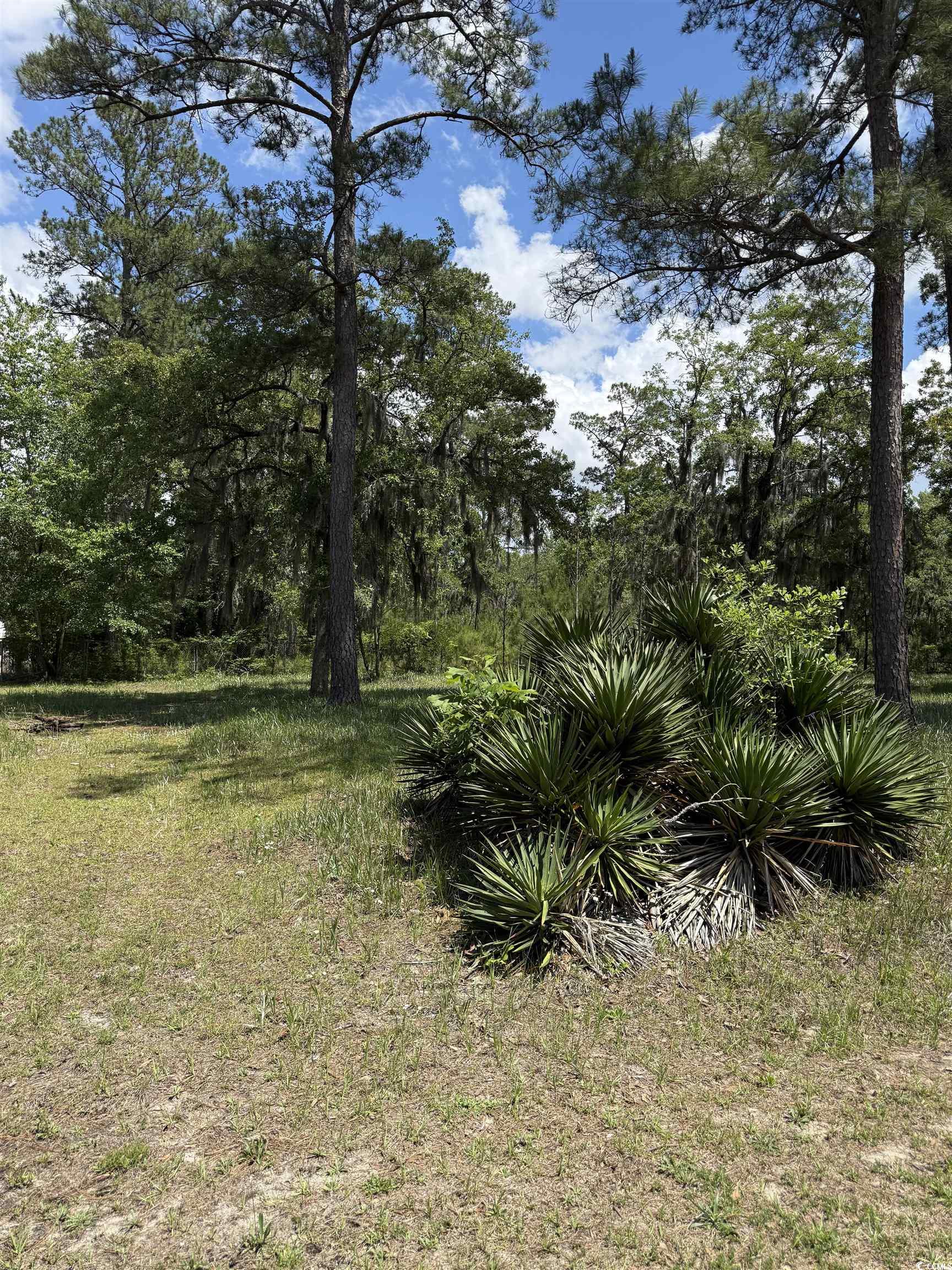 Tbd Hampton Road Conway, SC 29527 - Photo 7 of 8