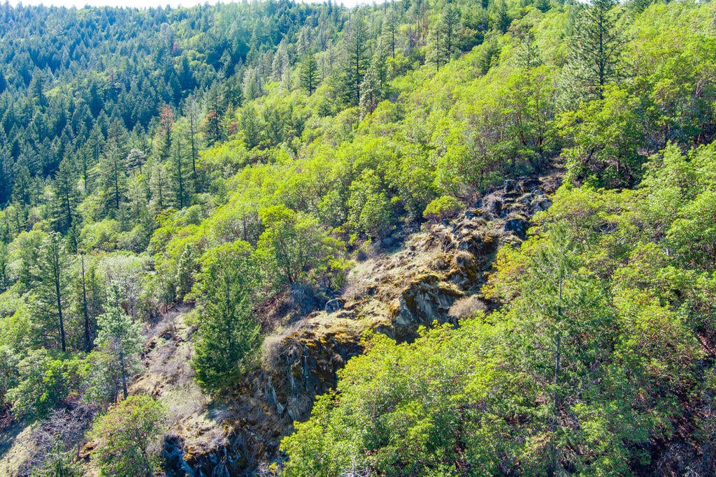 4832 Anderson Creek Road Talent, OR 97540 - Photo 32 of 39 ACR(43)
