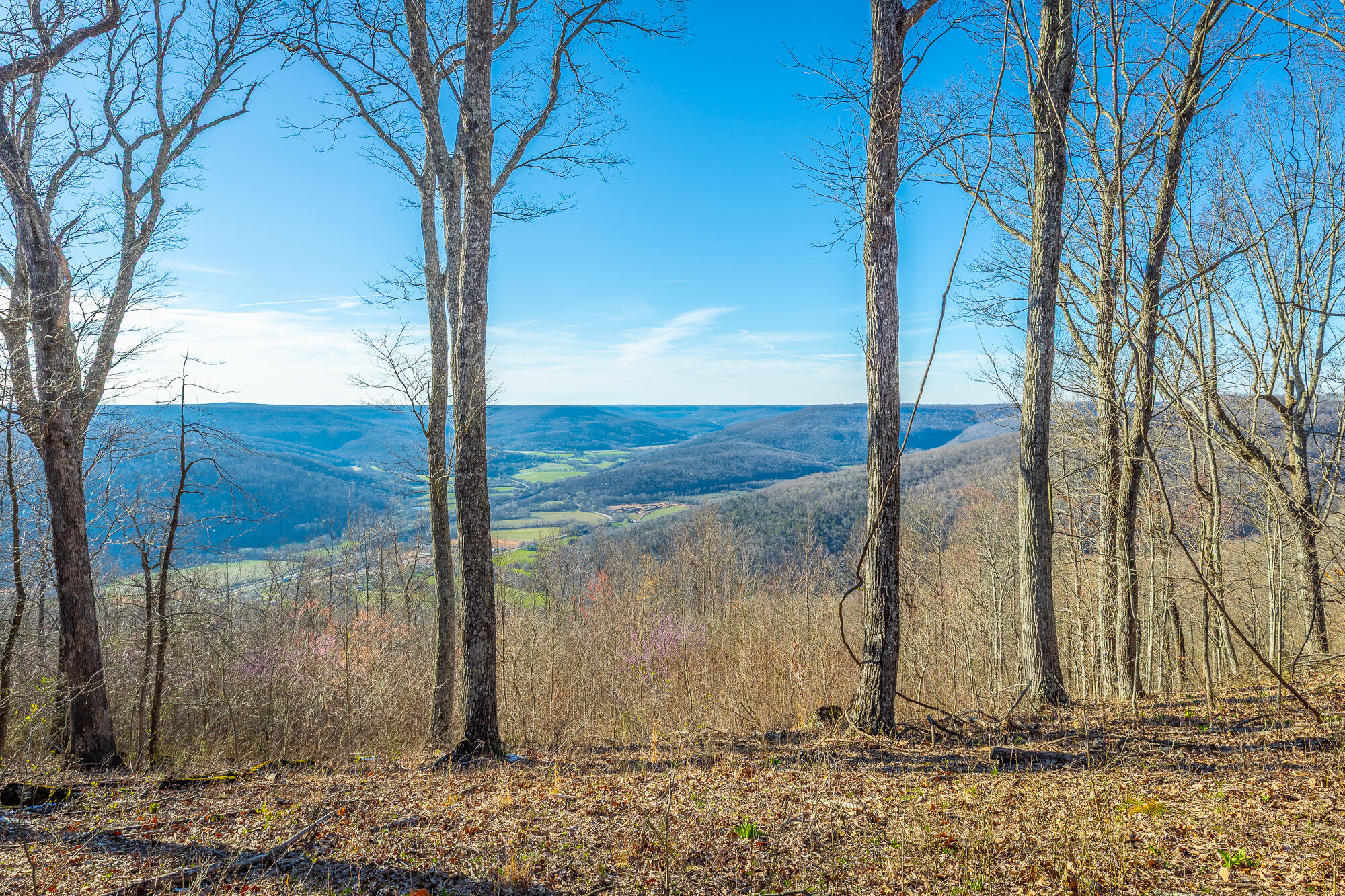 0 Cherokee Path, Unit JF269 Jasper, TN 37347 - Photo 6 of 94 0 Cherokee Path - JF269 HD-2