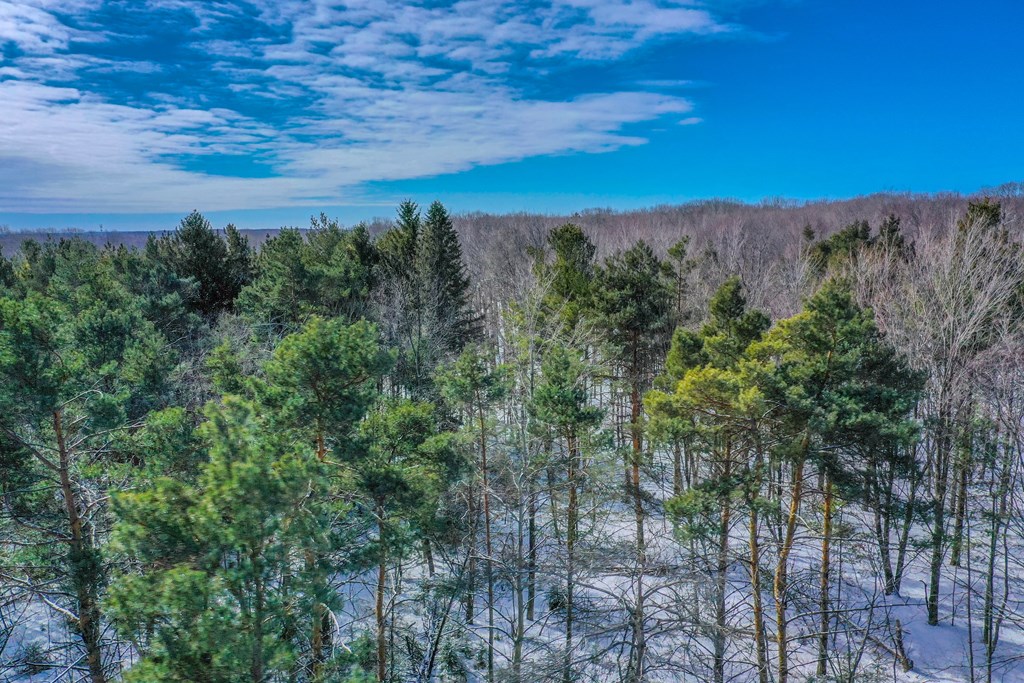 Lot 2 Daisy Patch Road Fish Creek, WI 54212 - Photo 3 of 14