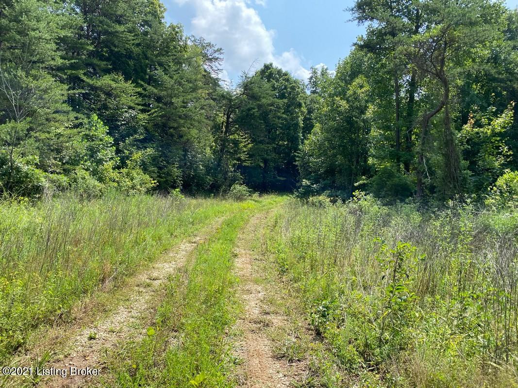 Lot 5-0 Wax Road Clarkson, KY 42726 - Photo 3 of 6 Logsdon Acres North Farm11