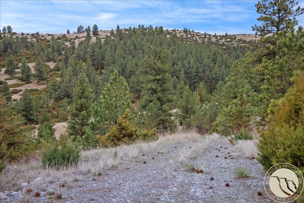 126 Nighthawk Road Reed Point, MT 59069 - Photo 15 of 35 Gallery Image 15