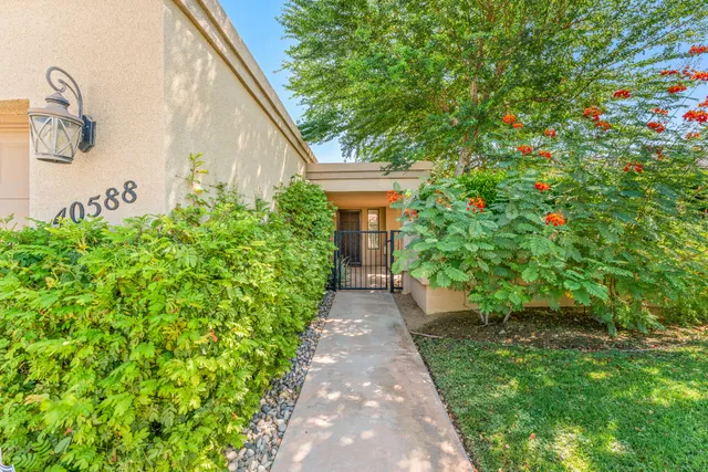 a view of a pathway with plants and large trees