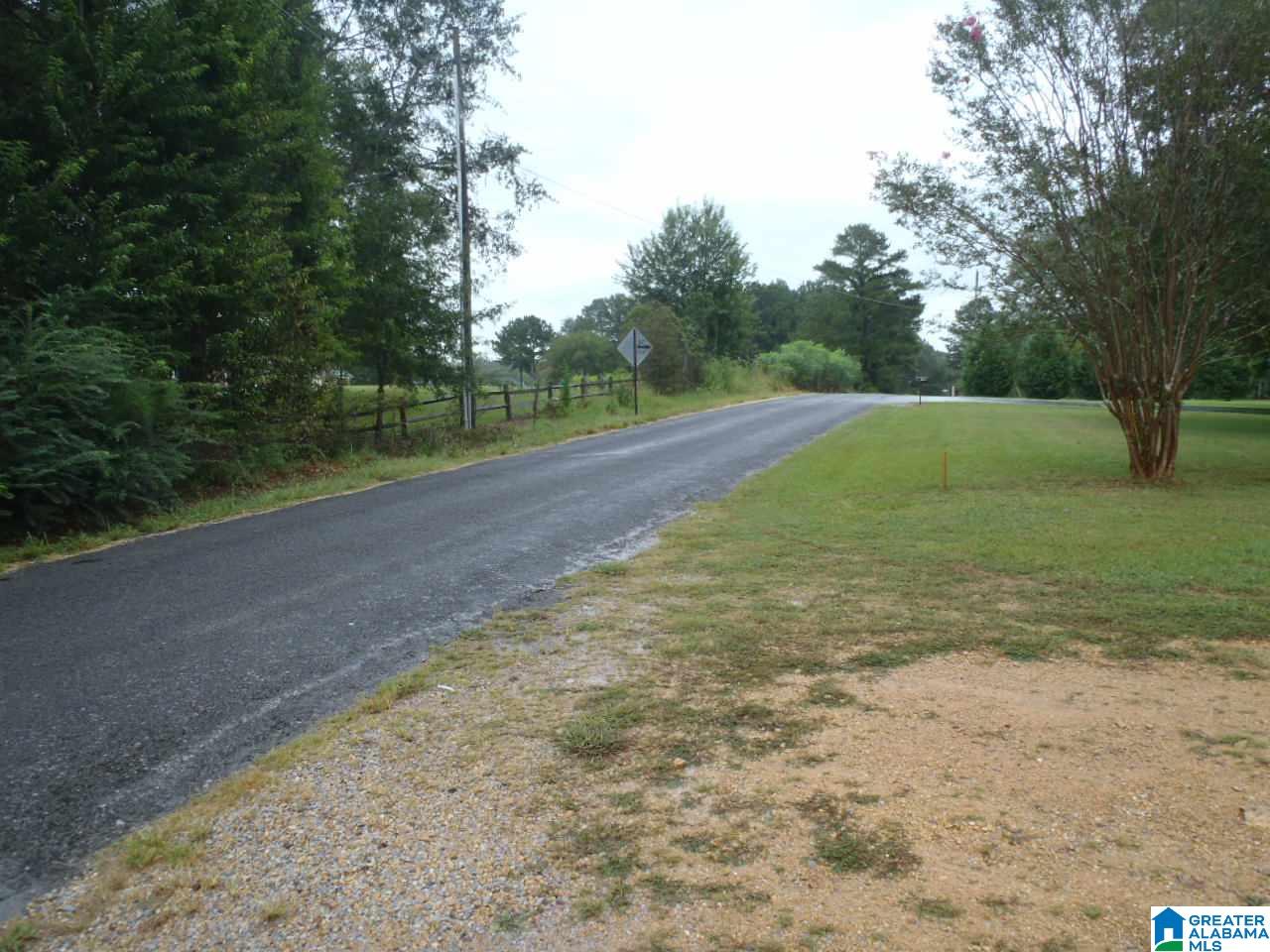 110 Nixon Road Cropwell, AL 35054 - Photo 6 of 25