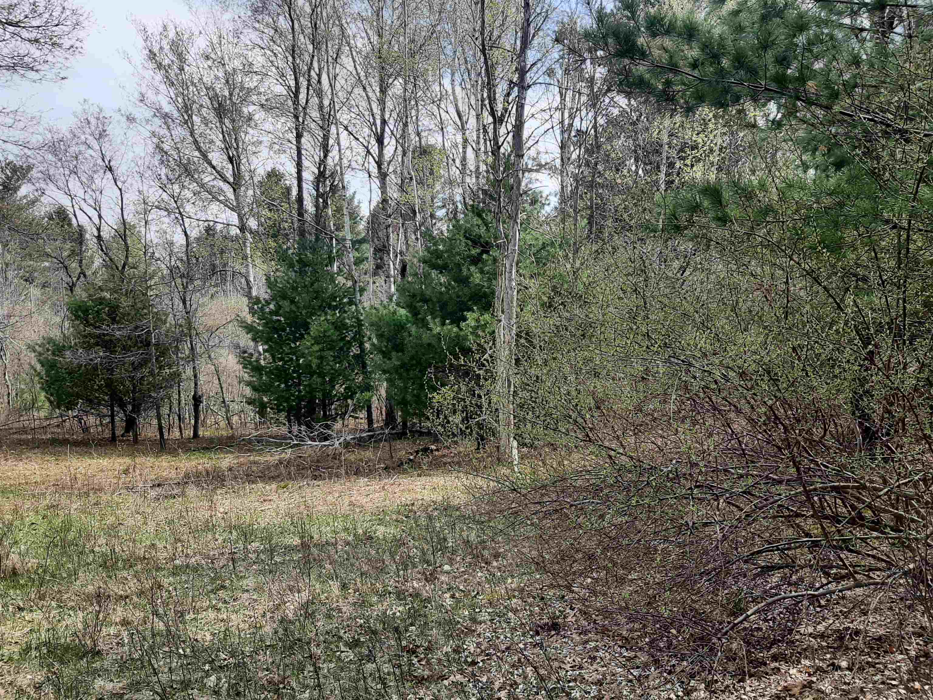 125 West Clarence Road Harrison, MI 48625 - Photo 27 of 44 Gallery Image 27