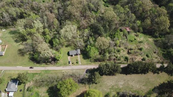 a view of a yard with trees