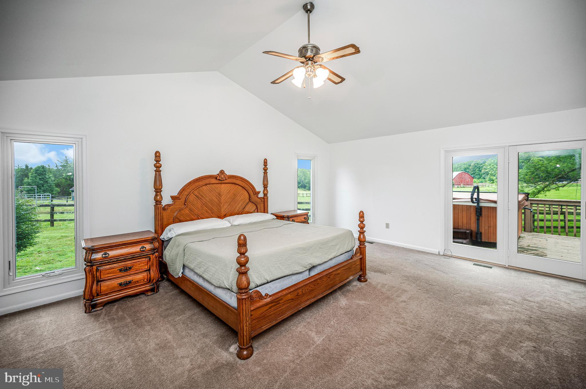 6317 Louisianna Road Locust Grove, VA 22508 - Photo 20 of 57 Oversized primary bedroom with natural lights.