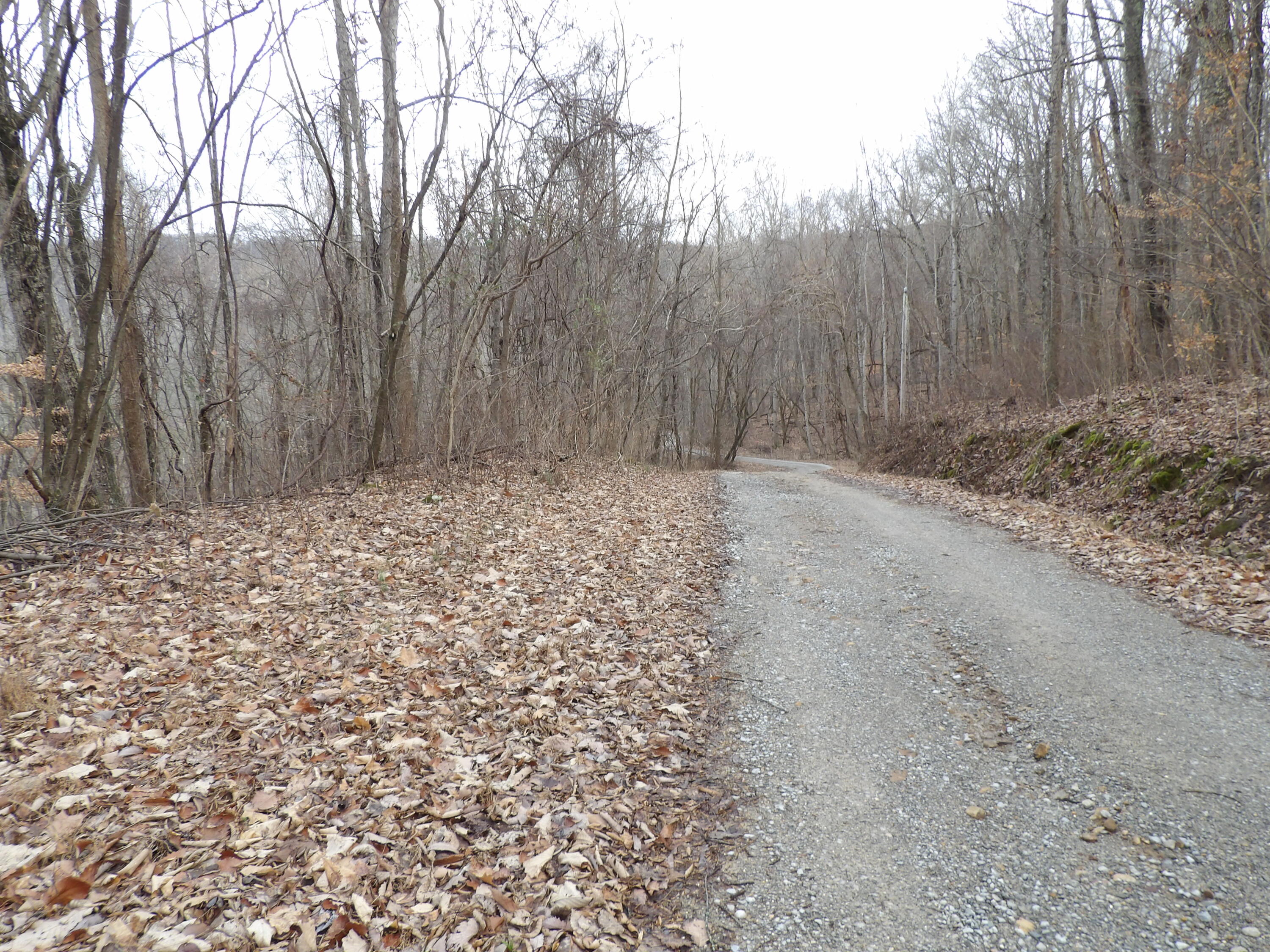 95 Cherokee Ridge Road, Unit 95 Pikeville, TN 37367 - Photo 1 of 5 100_5164