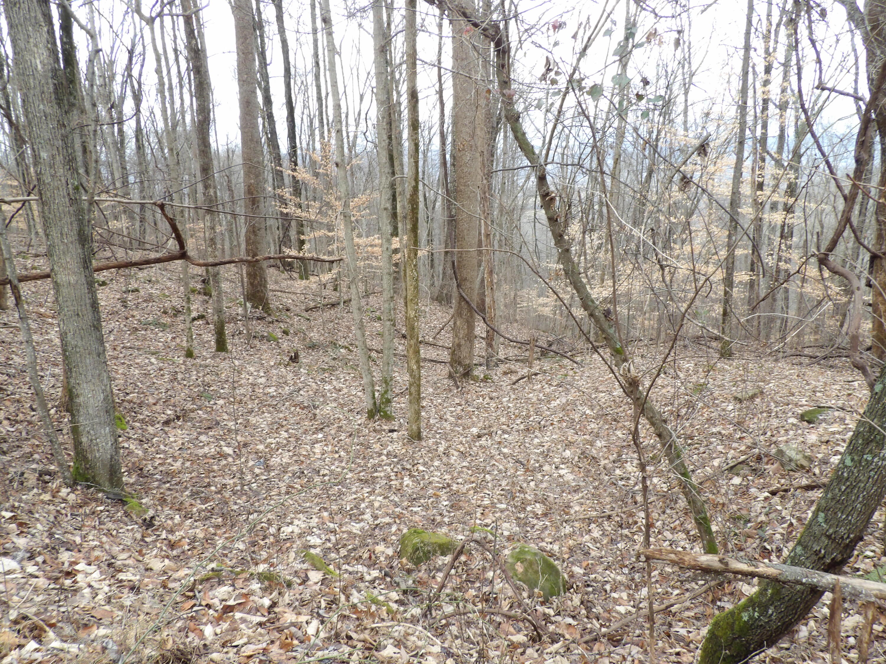 95 Cherokee Ridge Road, Unit 95 Pikeville, TN 37367 - Photo 3 of 5 100_5172