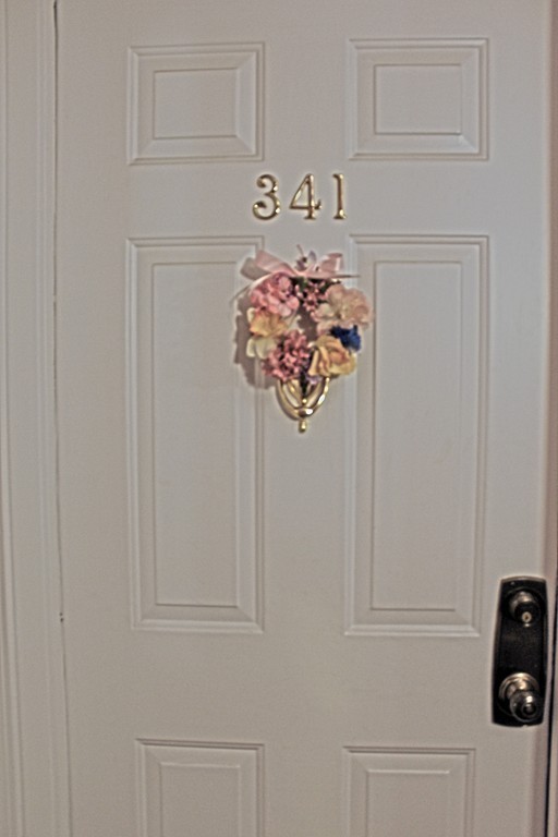 181 Littleton Road, Unit 341 Chelmsford, MA 01824 - Photo 13 of 19 Gallery Image 13