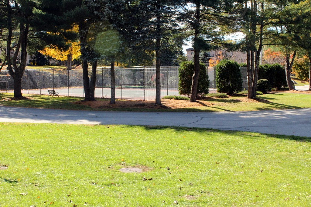 181 Littleton Road, Unit 341 Chelmsford, MA 01824 - Photo 18 of 19 Gallery Image 18