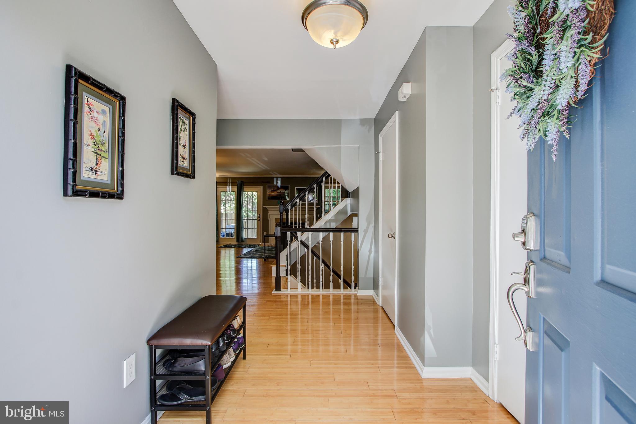 206 Finale Terrace Silver Spring, MD 20901 - Photo 3 of 31 Glistening bamboo floors, pleasing peaceful colors