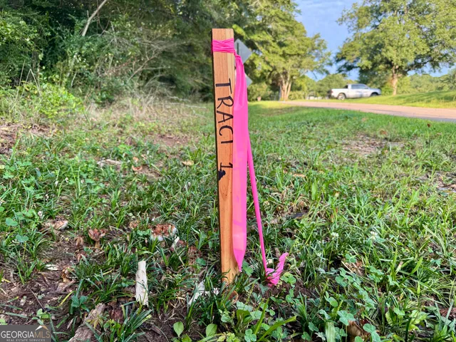a flag view with a play ground and trees