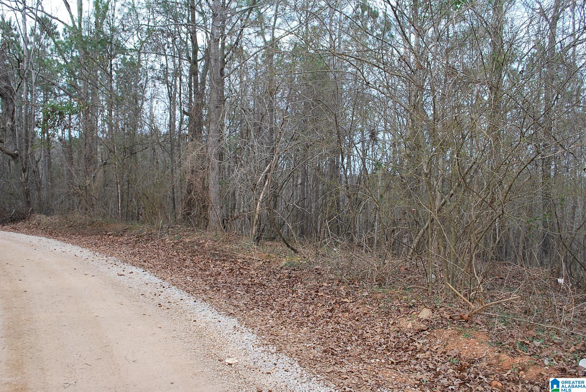 8023 County Road, Unit 8 Lineville, AL 36266 - Photo 5 of 21