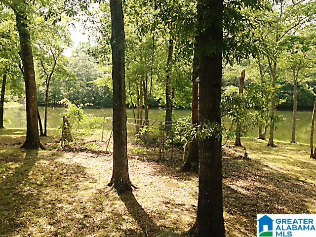 Sycamore Road, Unit 125 Columbiana, AL 35051 - Photo 7 of 14