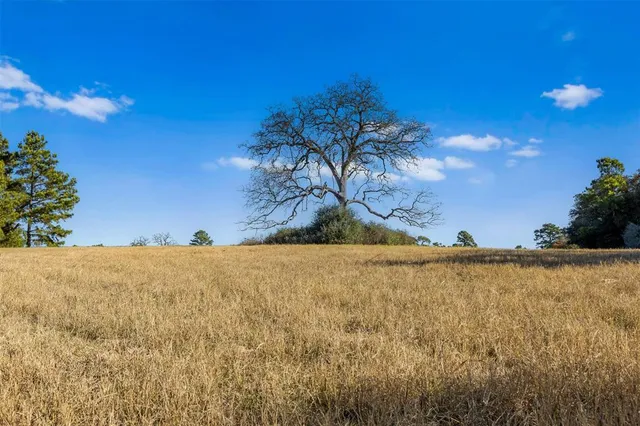 a view of a swimming pool and an outdoor space