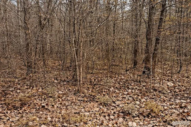 $25,000 | 41 Sugar Creek Court, Troy, MO 63379