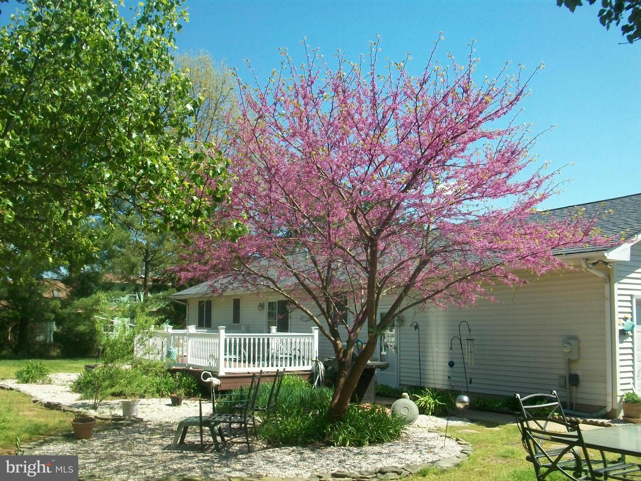 7857 Radcliffe Road Chestertown, MD 21620 - Photo 2 of 29 Exterior (Rear)