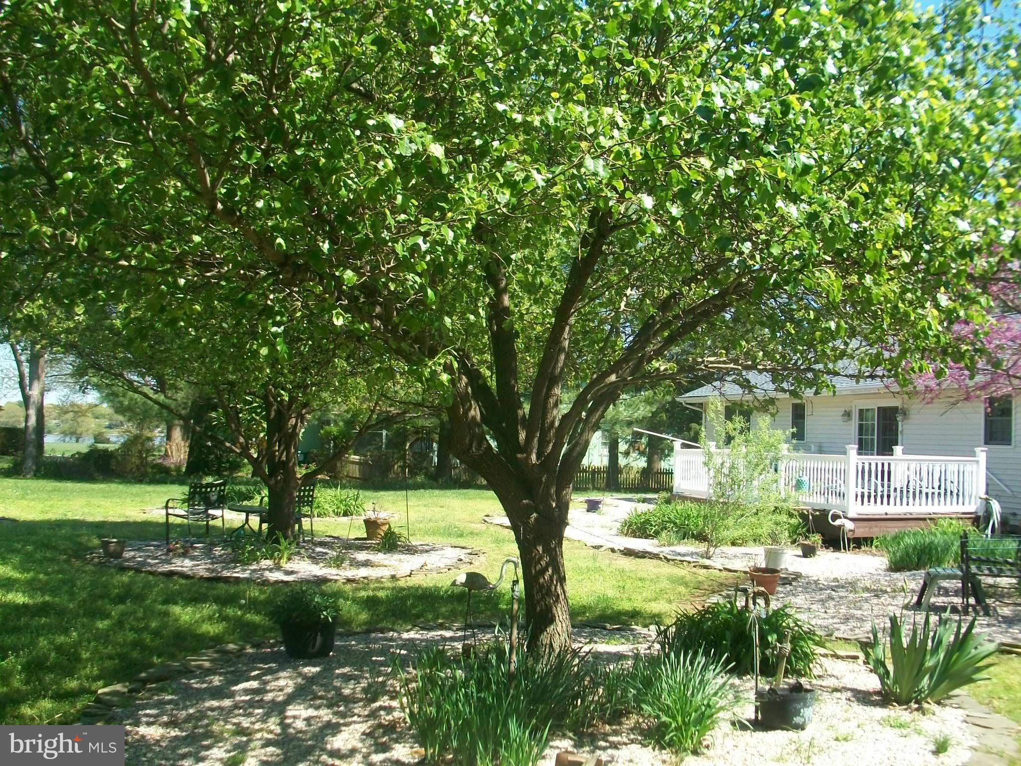 7857 Radcliffe Road Chestertown, MD 21620 - Photo 11 of 29 Views of the Chester River