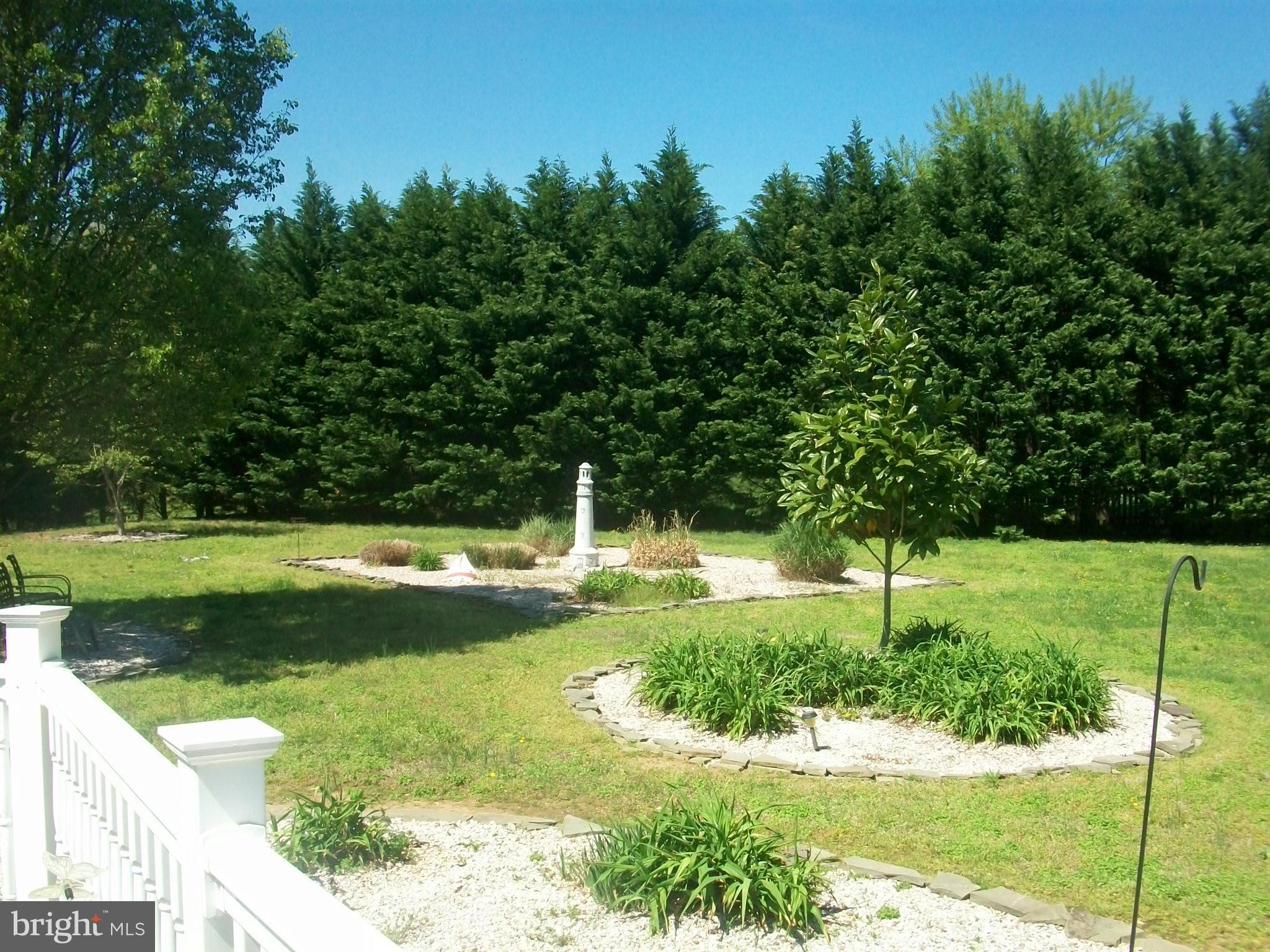 7857 Radcliffe Road Chestertown, MD 21620 - Photo 12 of 29 Rear Yard