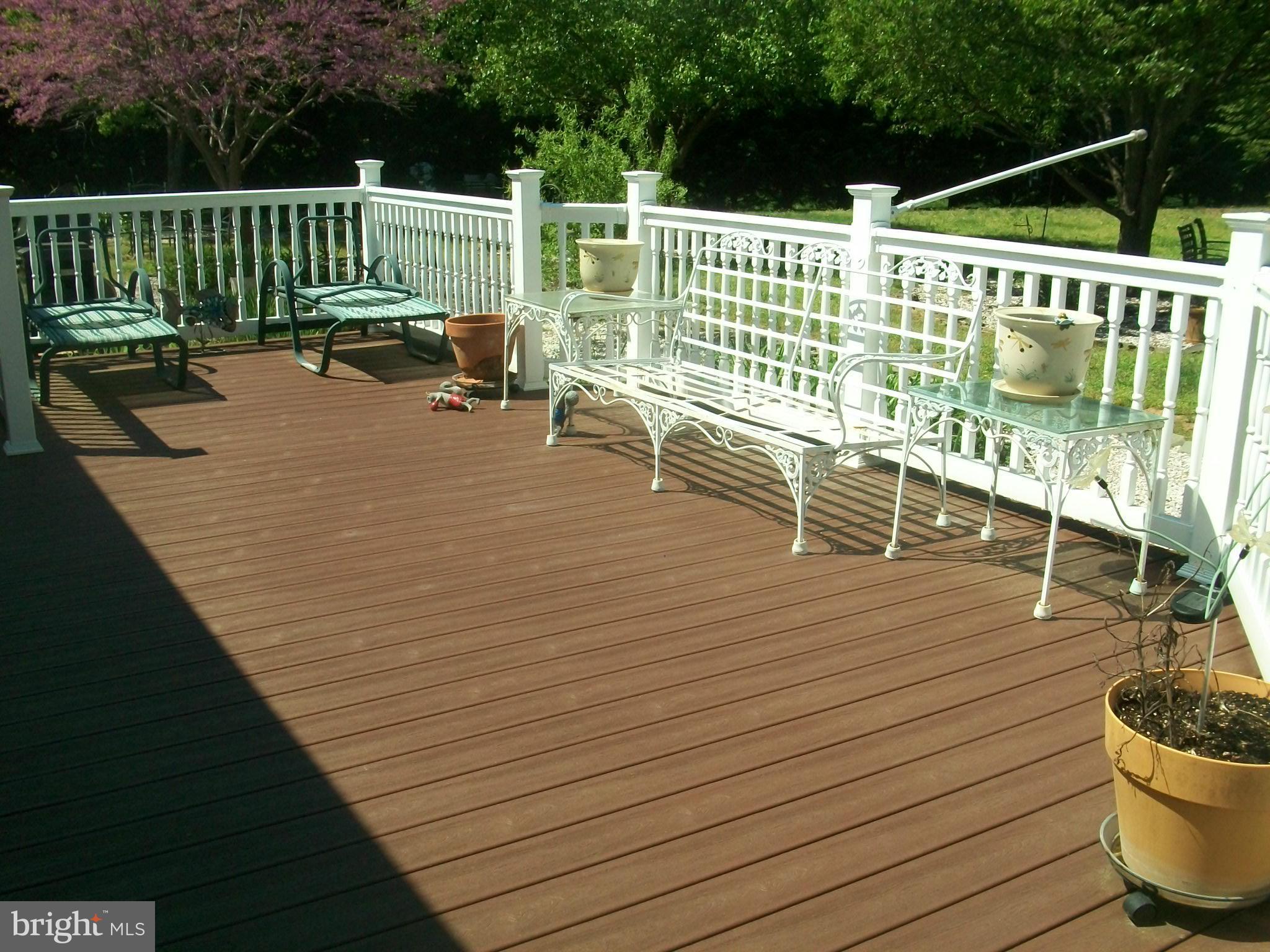 7857 Radcliffe Road Chestertown, MD 21620 - Photo 6 of 29 Rear Deck
