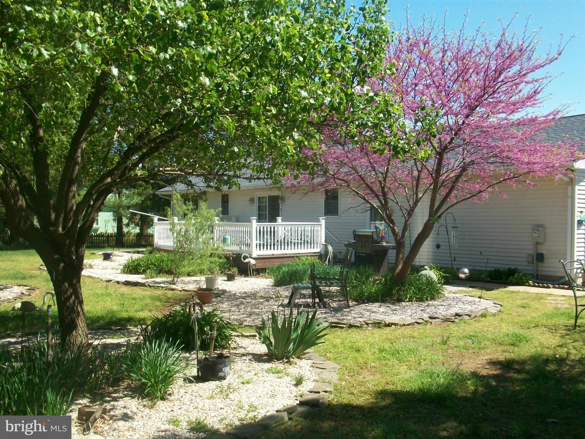 7857 Radcliffe Road Chestertown, MD 21620 - Photo 9 of 29 Exterior (Rear)
