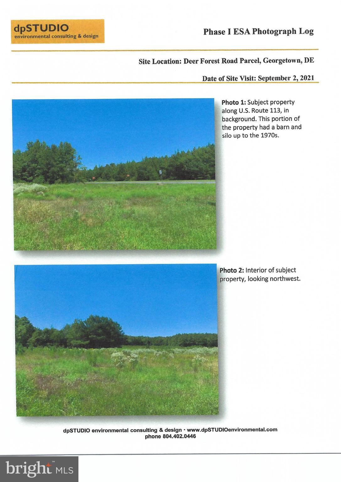 0 Rt 113 And Deer Forest Road Georgetown, DE 19947 - Photo 3 of 5