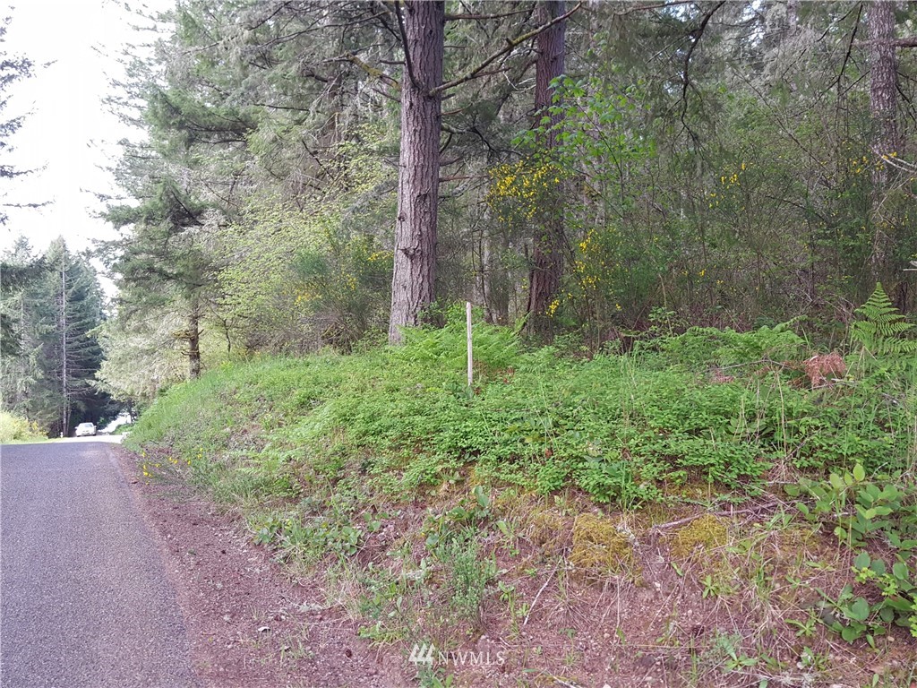 -xxx East Rauschert Road Grapeview, WA 98546 - Photo 1 of 3 Gallery Image 1