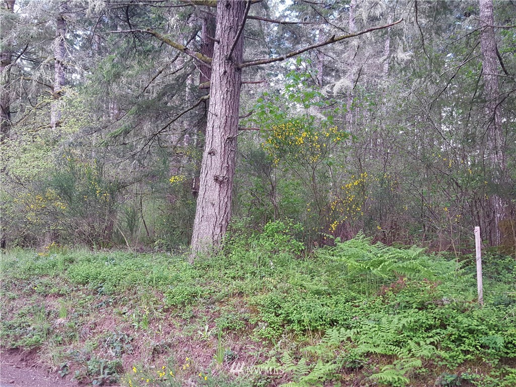 -xxx East Rauschert Road Grapeview, WA 98546 - Photo 2 of 3 Gallery Image 2