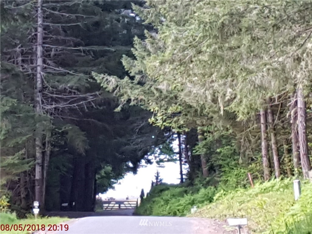 -xxx East Rauschert Road Grapeview, WA 98546 - Photo 3 of 3 Gallery Image 3