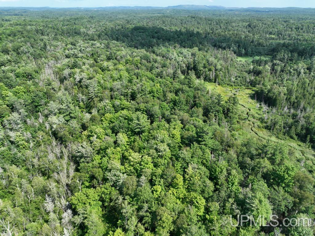 0 Gold Mine Lake Road Ishpeming, MI 49849 - Photo 5 of 19