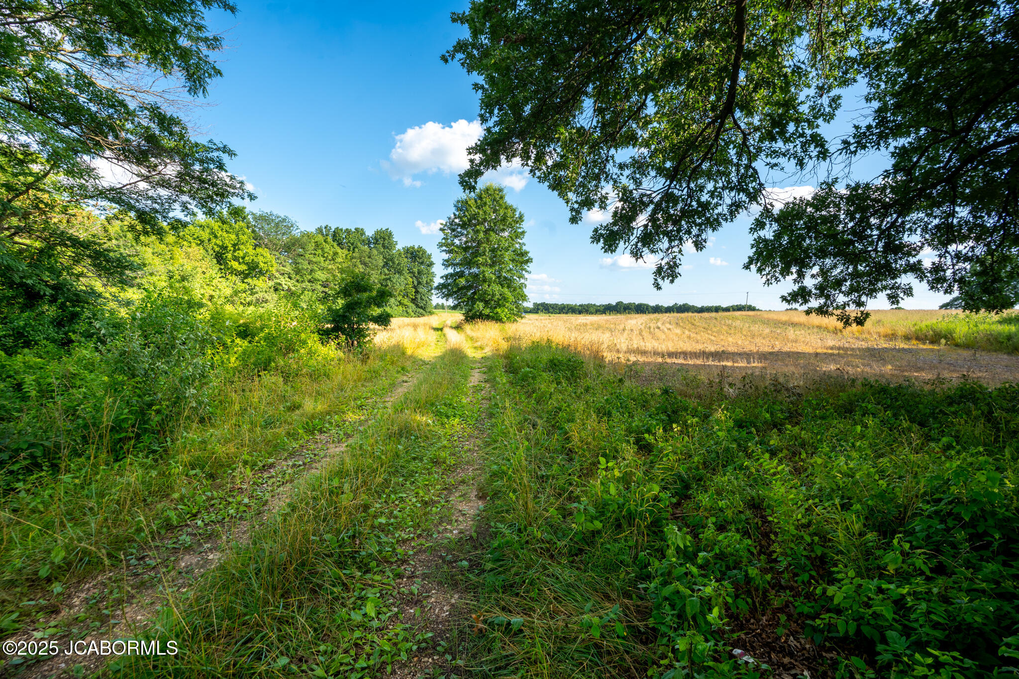 0 Audrain County Road Mexico, MO 65265 - Photo 8 of 12