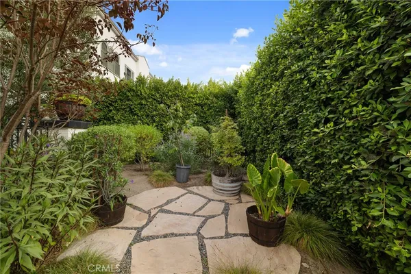 a view of a garden with plants