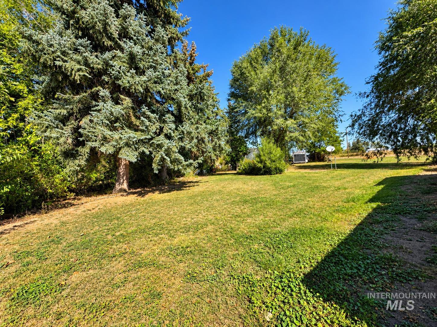 181 Hillcrest Road Burley, ID 83318 - Photo 14 of 14 Expansive outdoor area featuring mature trees and a substantial grassy lawn