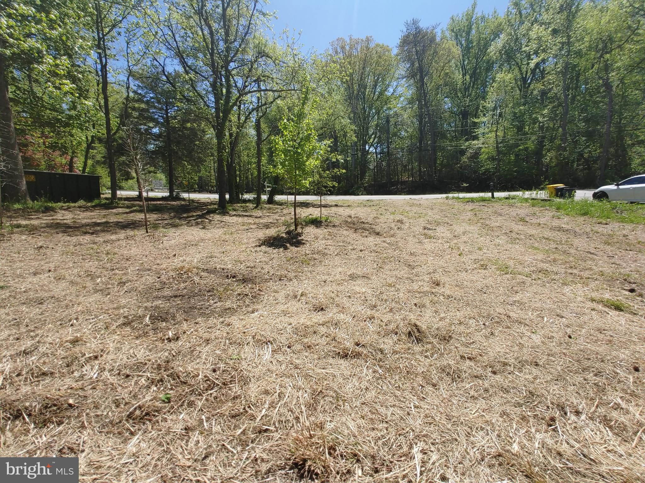4180 Shoreham Beach Road Edgewater, MD 21037 - Photo 7 of 26 a view of open space with trees