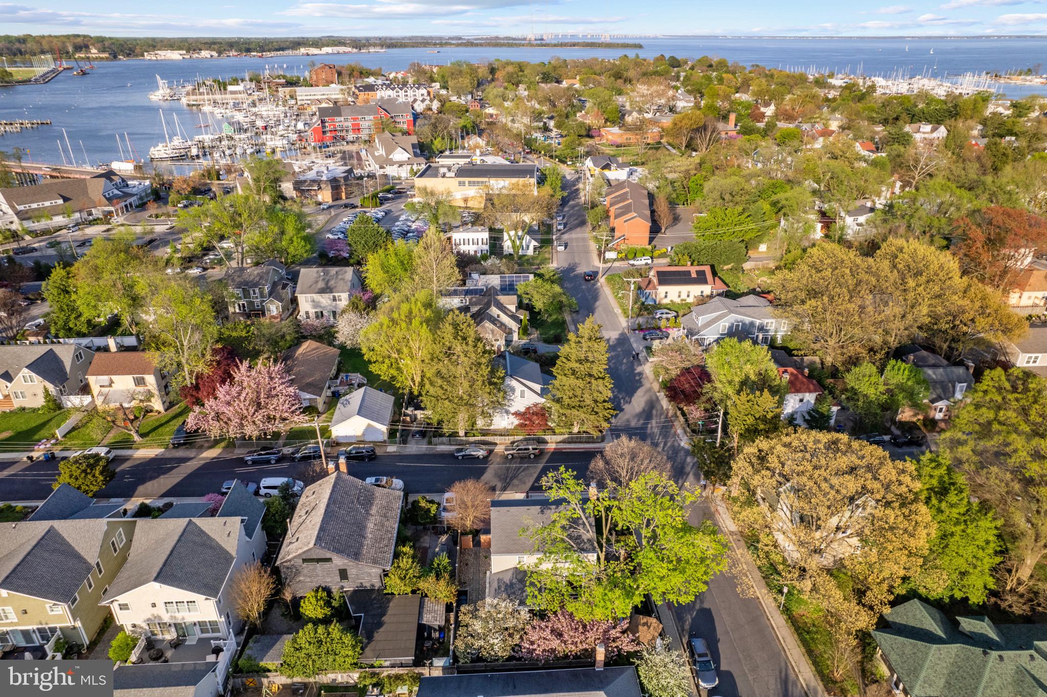 326 State Street Annapolis, MD 21403 - Photo 34 of 39 Walkable to all of Eastport and Downtown Annapolis