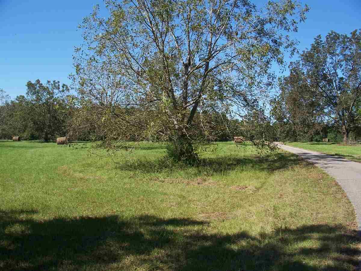 24553 Sutton Road Andalusia, AL 36421 - Photo 20 of 23 Gallery Image 20