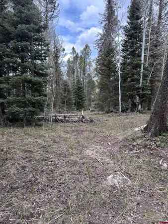a view of outdoor space with trees